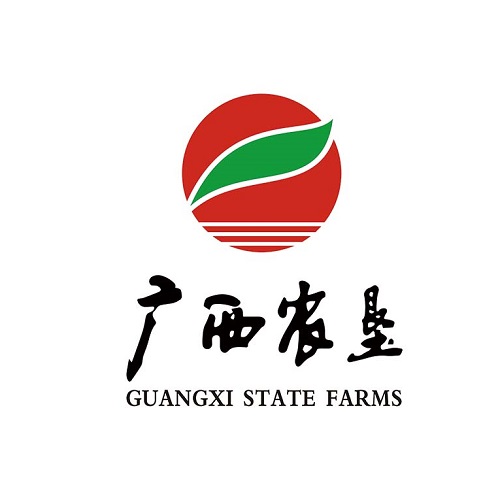 廣西國控資本運(yùn)營集團(tuán)有限責(zé)任公司